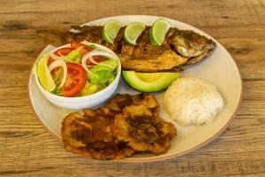 tilapia