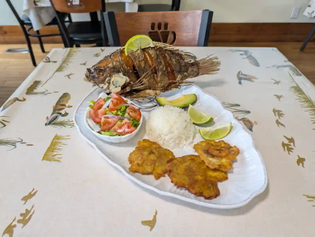 Tilapia