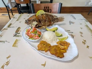 Tilapia