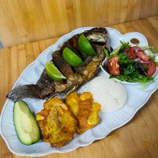 tilapia